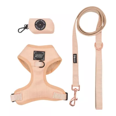Sassy Woof Pinot Dog Harness, Leash and Waste Bag Holder Bundle - Image 1