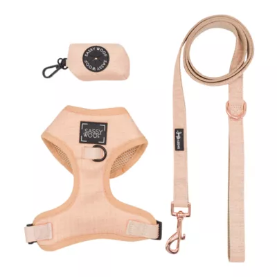 Sassy Woof Pinot Dog Harness, Leash and Waste Bag Holder Bundle - Image 1