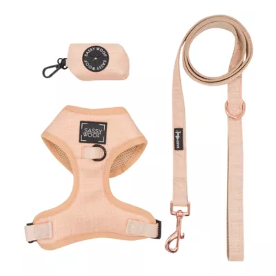 Sassy Woof Pinot Dog Harness, Leash and Waste Bag Holder Bundle - Image 1