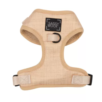 Sassy Woof Pinot Dog Harness, Leash and Waste Bag Holder Bundle - Image 2