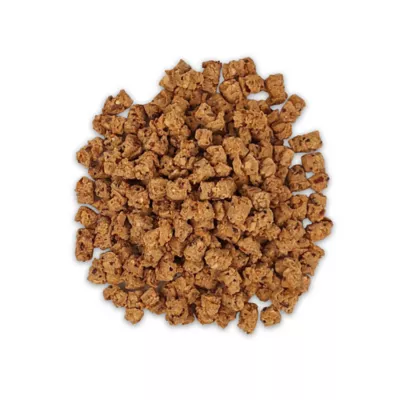 Product HARI Little Foragers Chili Snaps Oven Baked Parrot Bird Treats