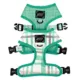 Product Sassy Woof Wag Your Teal Dog Harness