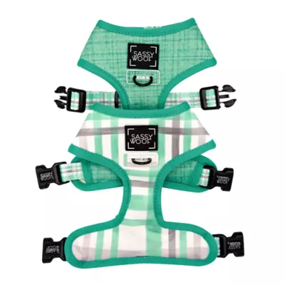 Sassy Woof Wag Your Teal Dog Harness - Image 1
