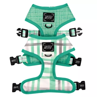 Sassy Woof Wag Your Teal Dog Harness - Image 1