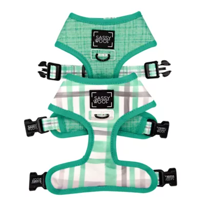 Product Sassy Woof Wag Your Teal Dog Harness