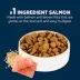 Authority Sensitive Stomach & Skin Large Breed Adult Dog Dry Food - Salmon & Rice image thumbnail 4