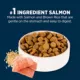 Product Authority Sensitive Stomach & Skin Large Breed Adult Dog Dry Food - Salmon & Rice