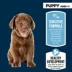 Authority Sensitive Stomach & Skin Puppy Dry Dog Food - Salmon & Rice image thumbnail 3