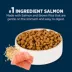 Authority Sensitive Stomach & Skin Puppy Dry Dog Food - Salmon & Rice image thumbnail 4
