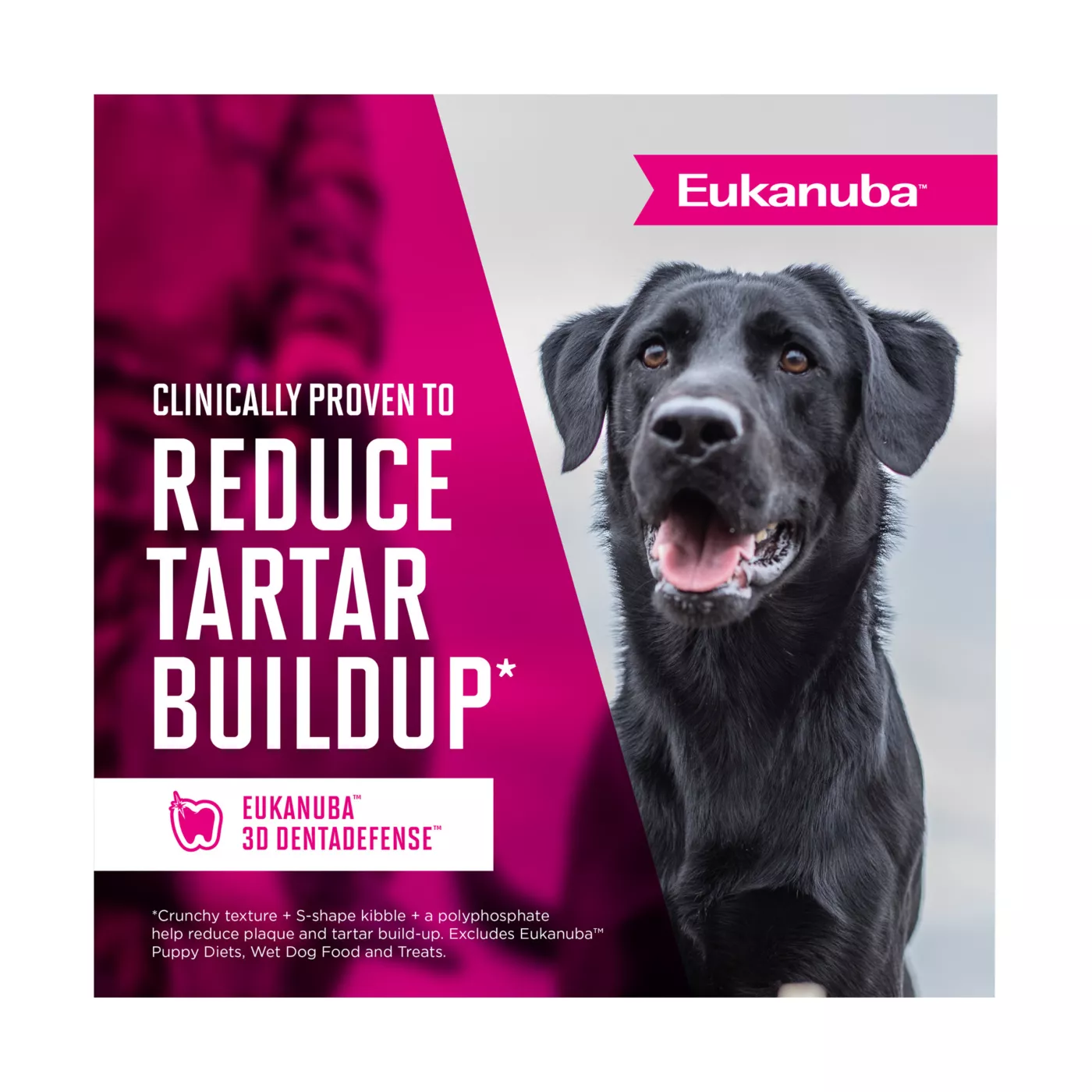 Eukanuba light fashion large breed