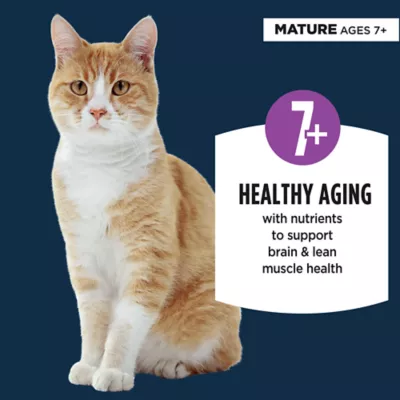 Product Authority Healthy Aging Senior Wet Cat Food - Pate, 3 Oz.