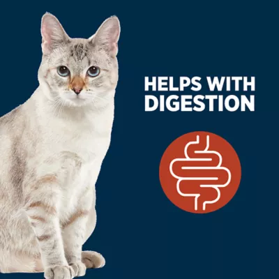 Product Authority Digestion Support Chicken Formula in Broth Cat Meal Topper 3oz