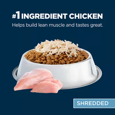 Product Authority Digestion Support Chicken Formula in Broth Cat Meal Topper 3oz