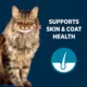 Product Authority Skin + Coat Support Whitefish Formula in Broth Cat Meal Topper 3OZ