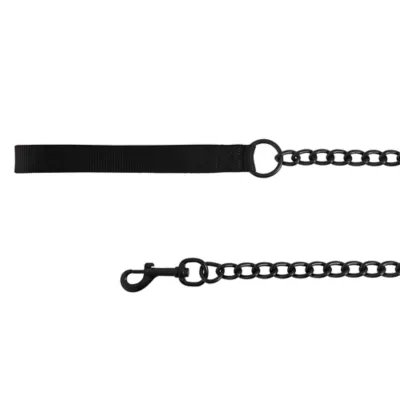 Product Top Paw® Heavy Chain Dog Leash: 4-ft long