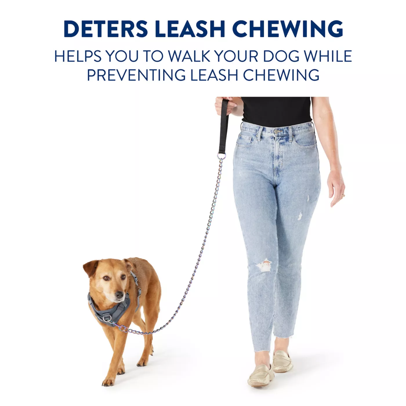 Long dog leash petsmart hotsell