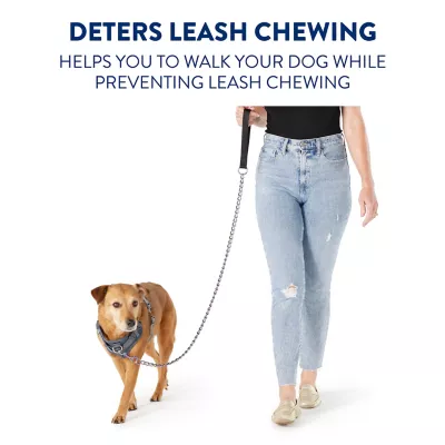 Petsmart long leash best sale