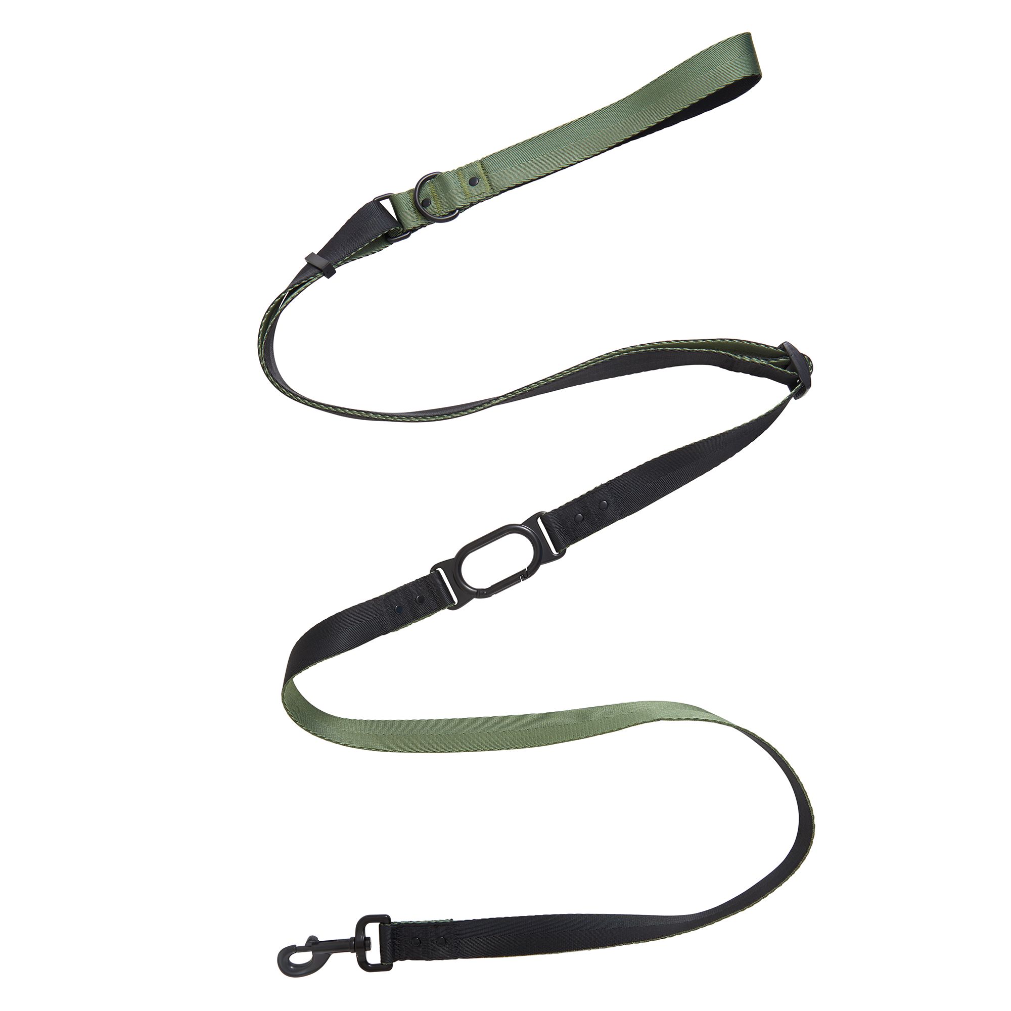 Dog leash hot sale petsmart