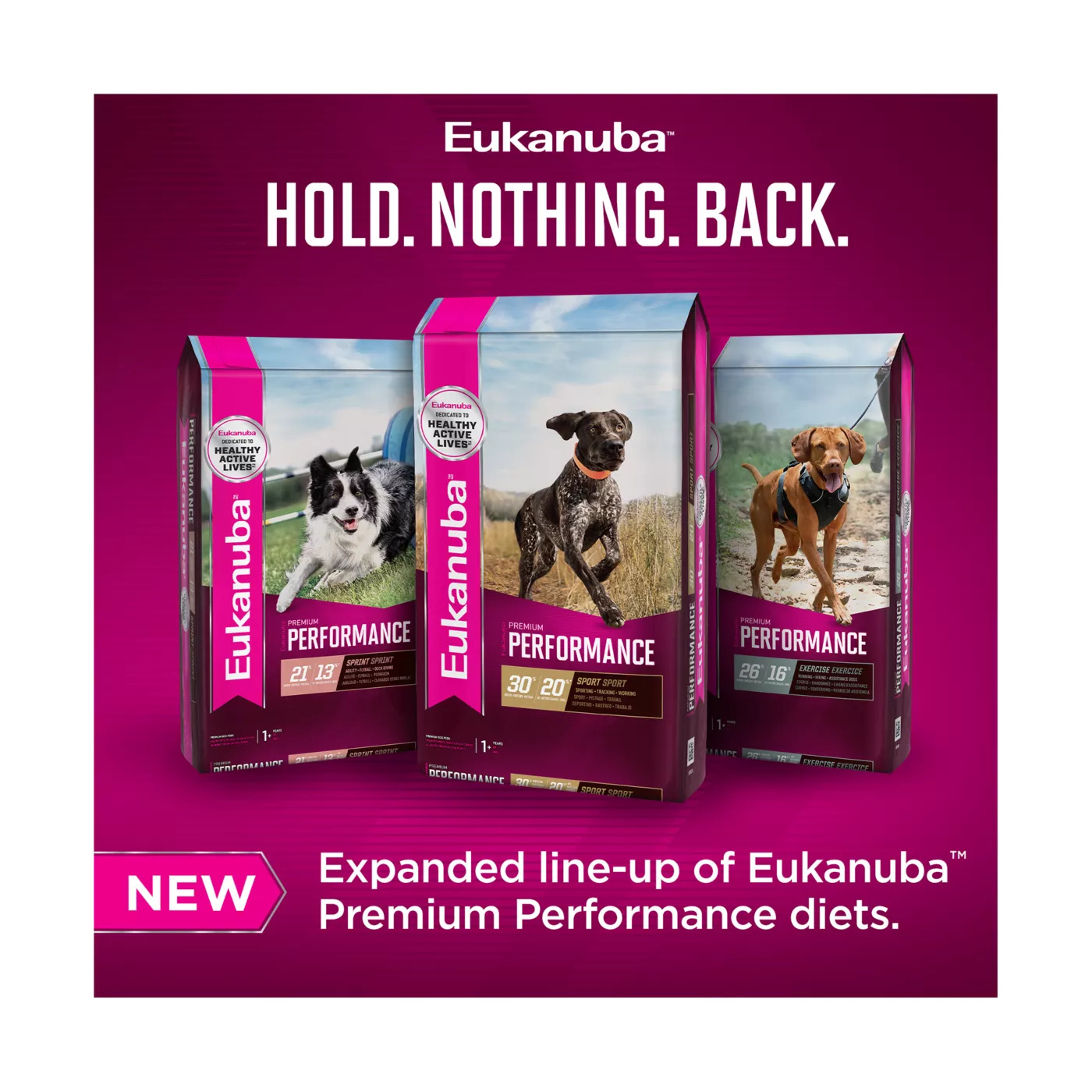 Dog food eukanuba price best sale