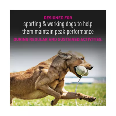 Product Eukanuba™ Premium Performance 30/20 Sport Adult Dry Dog Food Chicken