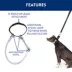 Top Paw® Martingale Dog Collar image thumbnail 3