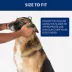 Top Paw® Martingale Dog Collar image thumbnail 4