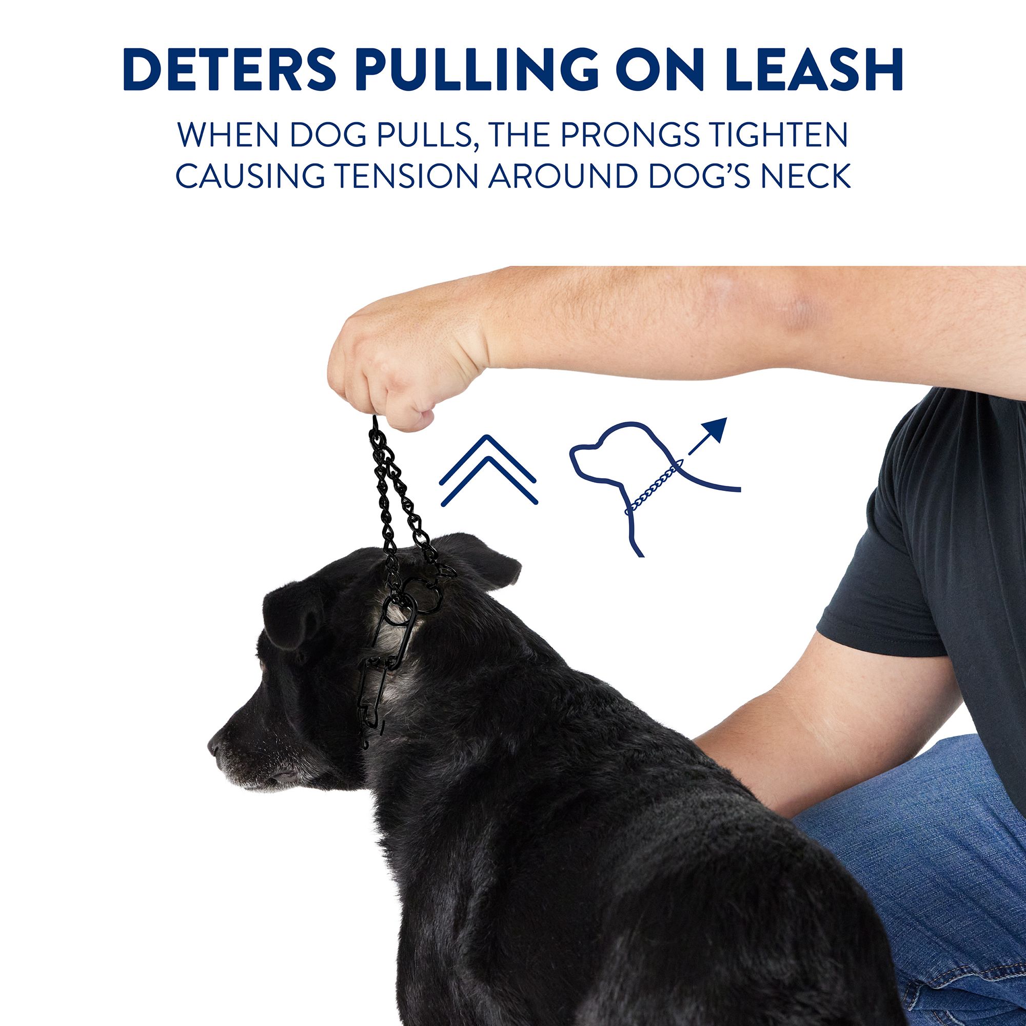 Quick release prong collar petsmart hotsell