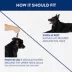 Top Paw® Prong Dog Collar, Training Dog Collar, Multiple Sizes, Black image thumbnail 5