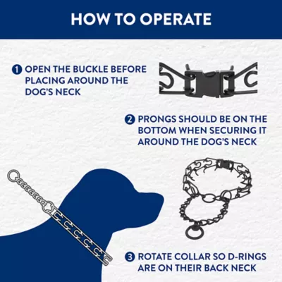 Product Top Paw® No-Pull Prong Dog Collar