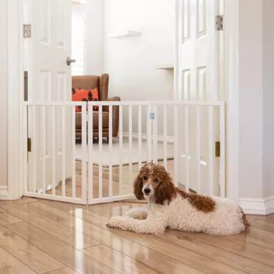 Puppy gate petsmart best sale