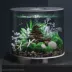 biOrb Artificial Aquarium Sea Fan - 11.5" image thumbnail 2