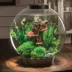 biOrb Artificial Moss Aquarium Pebbles image thumbnail 2