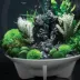 biOrb Artificial Moss Aquarium Pebbles image thumbnail 6
