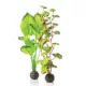 Product biOrb Artificial Aquarium Silk Plant Set - 14"