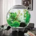 biOrb Artificial Aquarium Silk Plant Set - 14" image thumbnail 2
