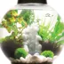 biOrb Artificial Aquarium Silk Plant Set - 14" image thumbnail 7
