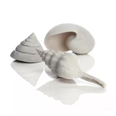 Product biOrb Sea Shell Aquarium Ornaments - 3pk