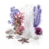biOrb Ocean Aquarium Ornament Set image thumbnail 1
