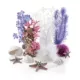 Product biOrb Ocean Aquarium Ornament Set