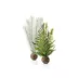 biOrb Artificial Aquarium Thistle & Fern Plant Set - 10" image thumbnail 1