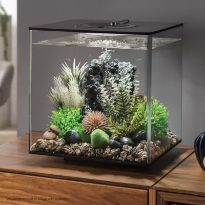 Product biOrb Artificial Aquarium Thistle & Fern Plant Set - 10"