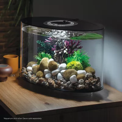 biOrb Coral Ball Aquarium Ornament Set - Image 2