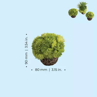 biOrb Coral Ball Aquarium Ornament Set - Image 3