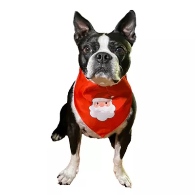 Product Hip Doggie Gnomes and Santa Reversible Dog Bandana