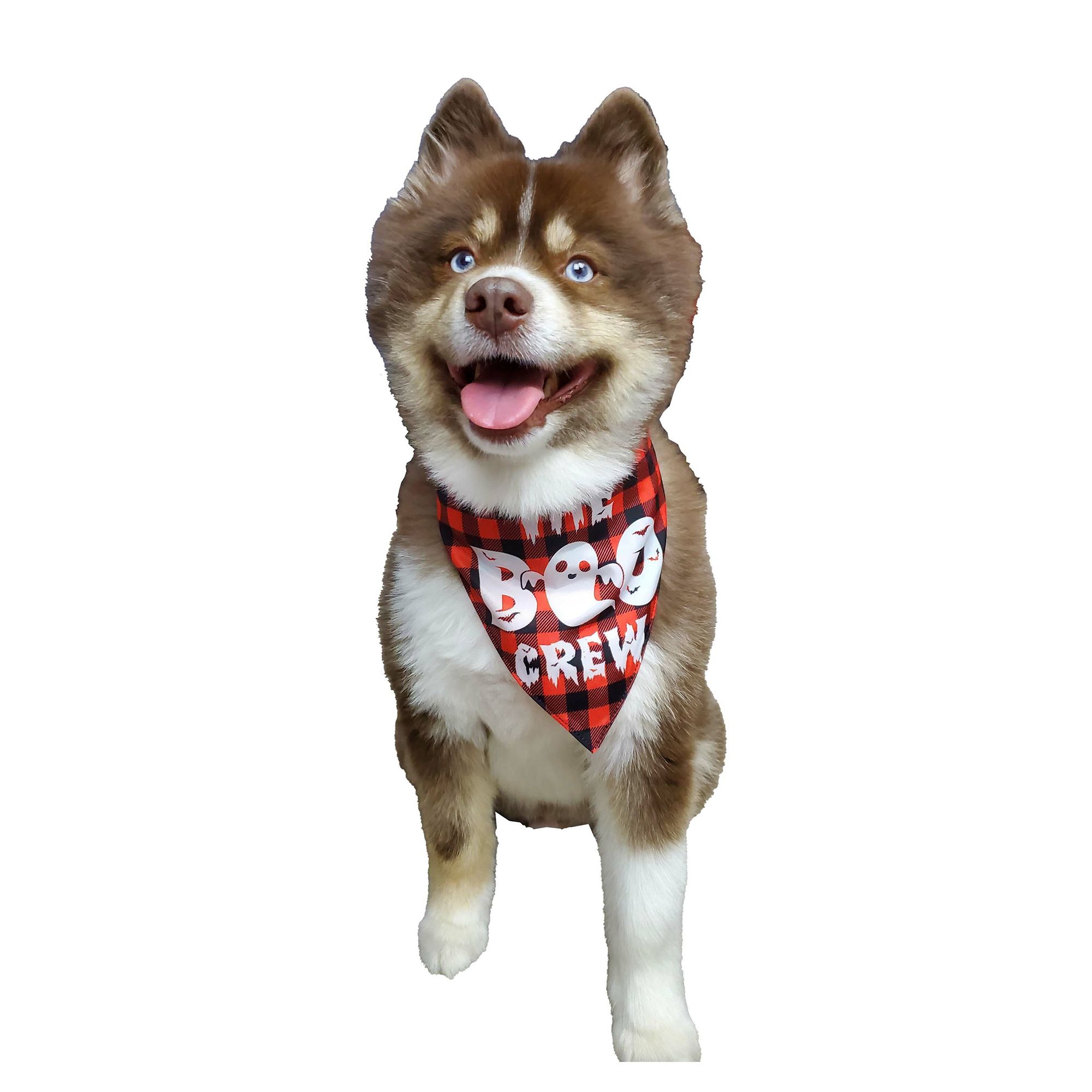 Hip Doggie Halloween The Boo Crew and Happy Halloween Reversible Dog Bandana PetSmart in Tustin CA