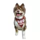 Product Hip Doggie Halloween "The Boo Crew" and  "Happy Halloween" Reversible Dog Bandana