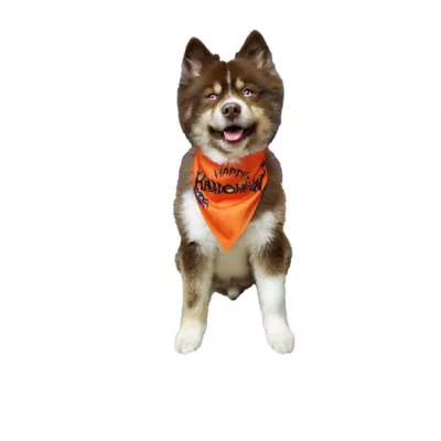 Hip Doggie Halloween The Boo Crew and Happy Halloween Reversible Dog Bandana