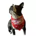 Hip Doggie Holiday "Happy Holidays" and "Santa's Favorite Elf" Reversible Dog Bandana image thumbnail 3