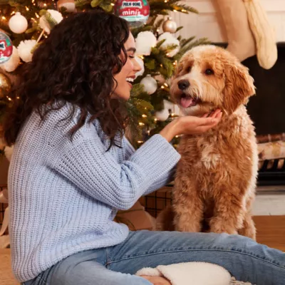 Product Milk-Bone Holiday Ornament Mini Biscuits Dog Treats - Peanut Butter