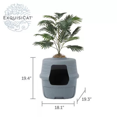 Plant cat box best sale